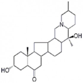 裕貝甲素HPLC≥98% 20mg/支分析標(biāo)準(zhǔn)品/對照品