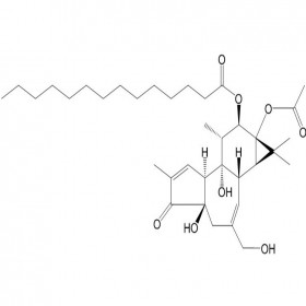 DF0099佛波醇12-十四酸酯13-乙酸酯 16561-29-8HPLC≥98%20mg/支	分析標準品/對照品