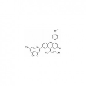 【樂美天】竹柏雙黃酮 A	Podocarpusflavone A	22136-74-9	HPLC≥98%	10mg/支分析標準品/對照品