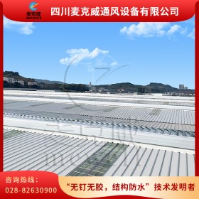 鋼構(gòu)廠房通風器 廠房排煙天窗 鋼結(jié)構(gòu)廠房通風器定制