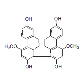 成都曼思特生物科技有限公司