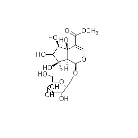 成都曼思特生物科技有限公司