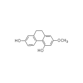 成都曼思特生物科技有限公司