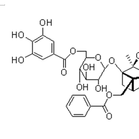 成都曼思特生物科技有限公司