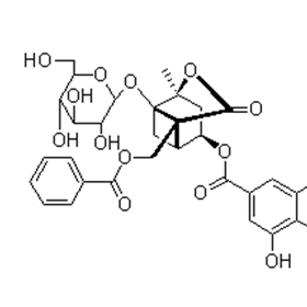 成都曼思特生物科技有限公司