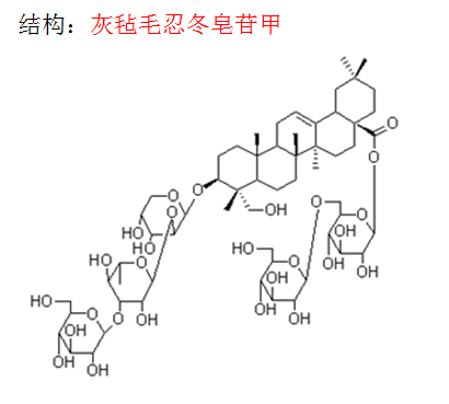 灰氈毛忍冬皂苷甲