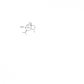 成都曼思特生物科技有限公司