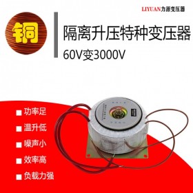 60V變3000V高壓逆變變壓器定制 接地故障定位儀變壓器