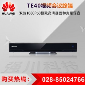 HUAWEI會議終端代理商_華為 TE40-1080P30 H.323 或 SIP 協(xié)議