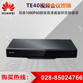 華為HUAWEI TE視頻會(huì)議 TE40-1080p 30幀 防火墻安全（NAT 技術(shù)）