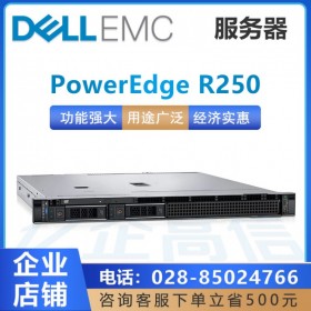 成都戴爾（DELL）服務(wù)器總代理商_PowerEdge R240升級款R250促銷