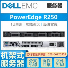 成都服務(wù)器總代理丨戴爾PowerEdge R250 四核管家婆服務(wù)器