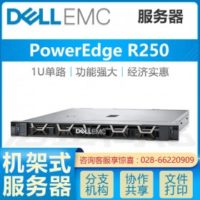 戴爾15G服務(wù)器_成都戴爾服務(wù)器總代理 PowerEdge R250 十五代新品服務(wù)器