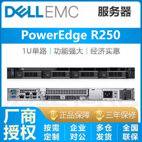 自貢戴爾(Dell)總代理丨R250機(jī)架式丨PowerEdge服務(wù)器企業(yè)店鋪