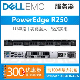 德陽戴爾服務(wù)器總代理丨DELL R250機架式服務(wù)器主機 公司財務(wù)服務(wù)器