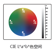 圖片4