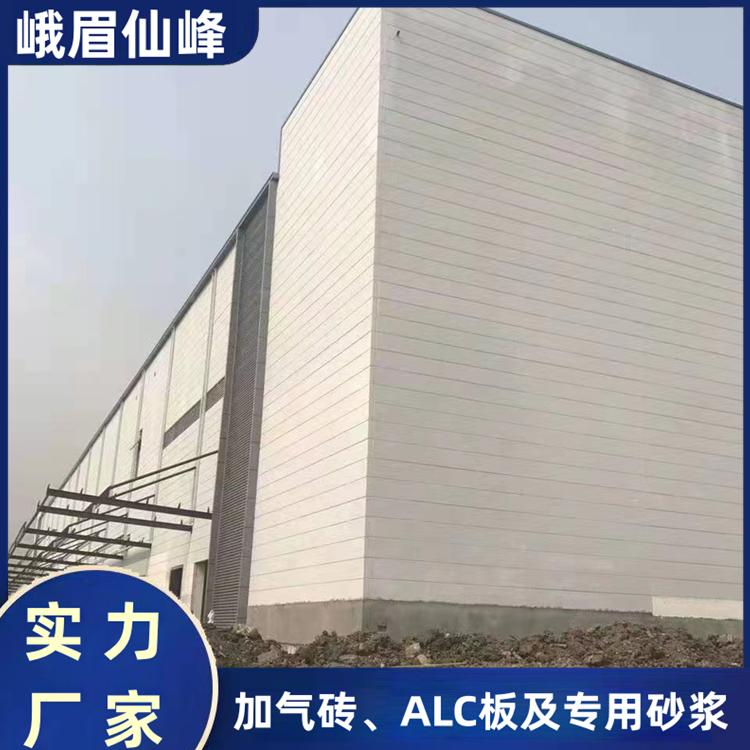 輕質(zhì)磚隔墻板 隔音防火防水墻 隔熱吸音建筑專用 加氣塊廠家