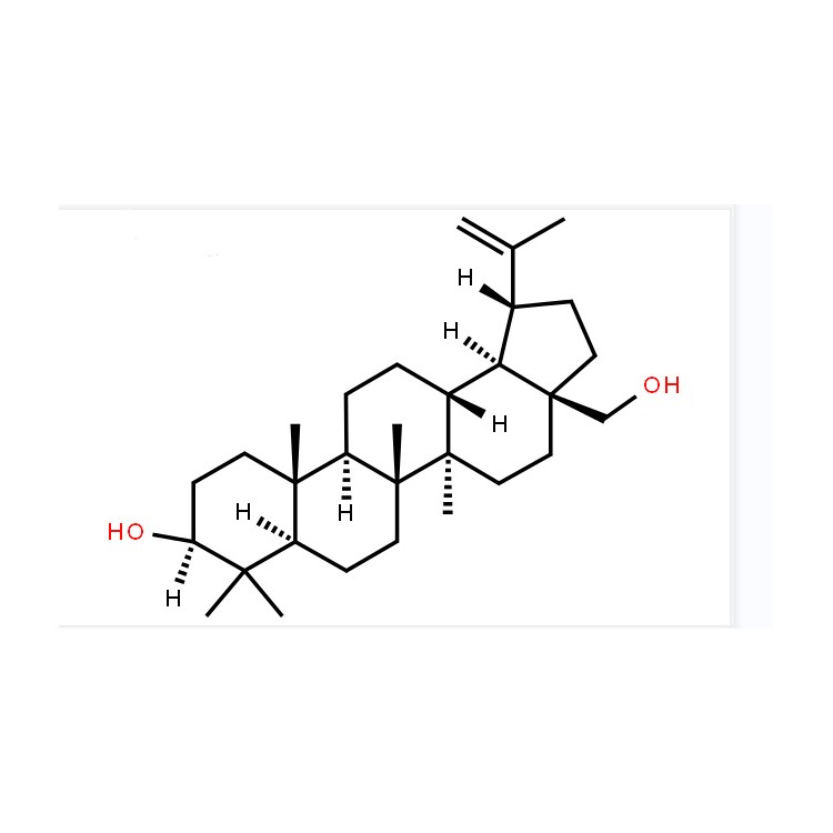 白樺脂醇98%CAS號(hào) 473-98-3 中藥對(duì)照品 標(biāo)準(zhǔn)品 圖譜全