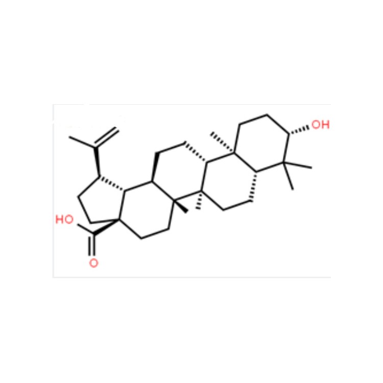 表白樺脂酸 中藥對照品 8736-77-5 僅供實(shí)驗(yàn) HPLC≥98%