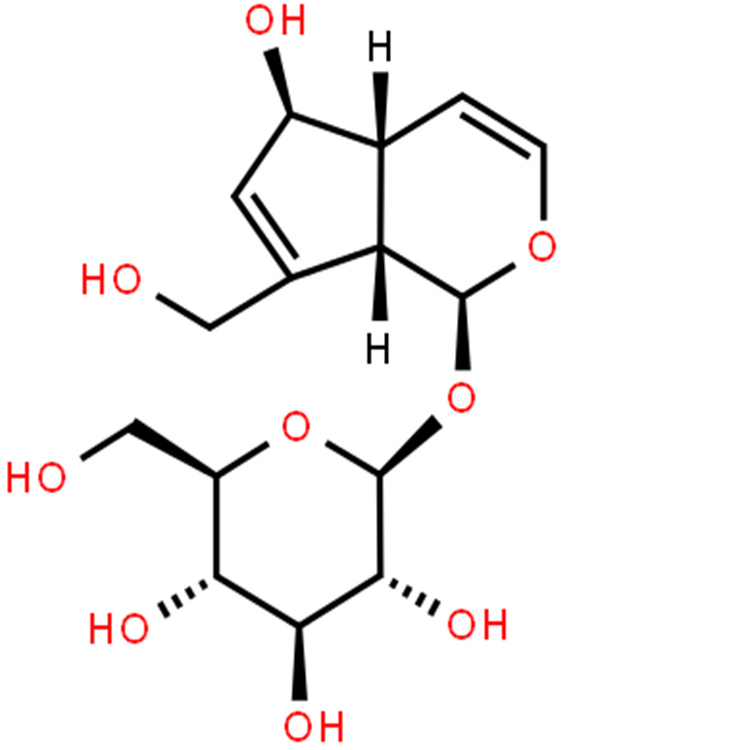 桃葉珊瑚苷 hplc98% 三大圖譜 科研直供 中藥對(duì)照品標(biāo)準(zhǔn)品