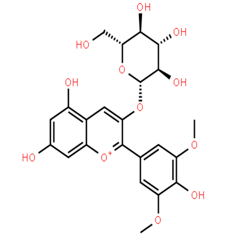 錦葵素-3-O-葡萄糖苷 18470-06-9  對(duì)照品標(biāo)準(zhǔn)品
