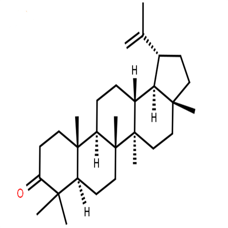 羽扇烯酮 1617-70-5 純度98% 中藥對(duì)照品標(biāo)準(zhǔn)品支持定制