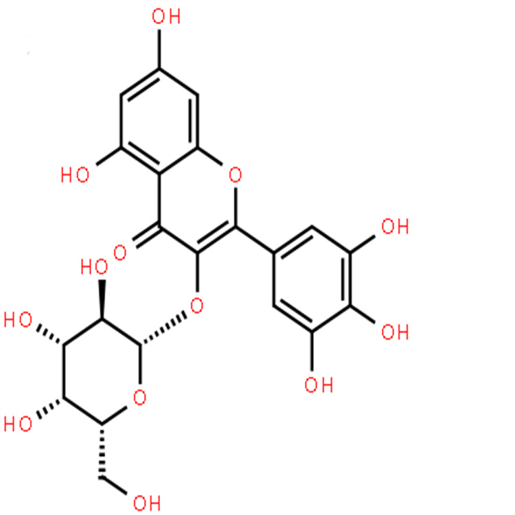 楊梅素-3-O-半乳糖苷 純度98% 中藥對(duì)照品標(biāo)準(zhǔn)品 支持定制