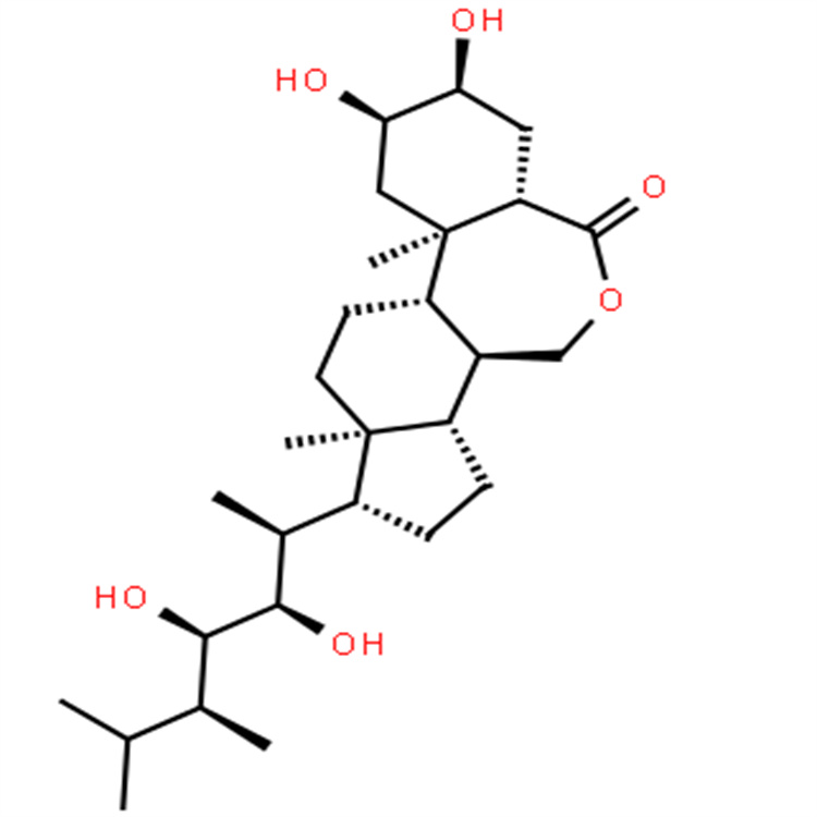 蕓苔素內(nèi)酯;油菜素內(nèi)酯 72962-43-7 中藥對(duì)照品標(biāo)準(zhǔn)品