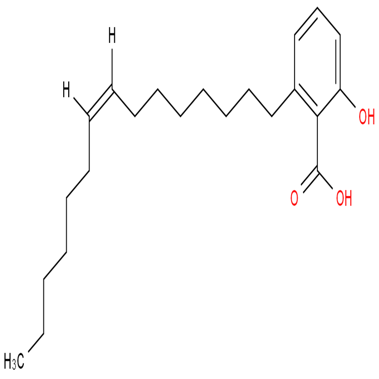 銀杏酸 C15:1  對(duì)照品標(biāo)準(zhǔn)品 純度高 圖譜全 直供科研