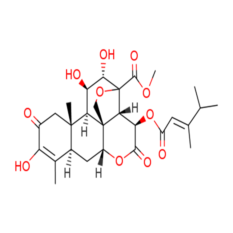 鴉膽亭  現(xiàn)貨直發(fā)  支持貨到付款 可定制檢測(cè)定制生產(chǎn)