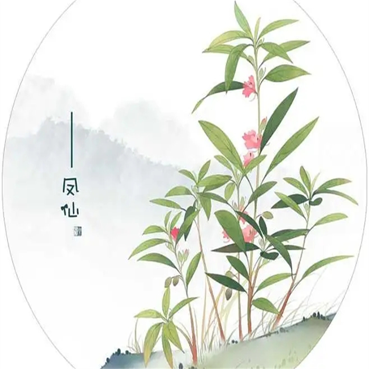 158722-23-7  對照品標(biāo)準(zhǔn)品  現(xiàn)貨直發(fā) 提取純化 技術(shù)服務(wù)