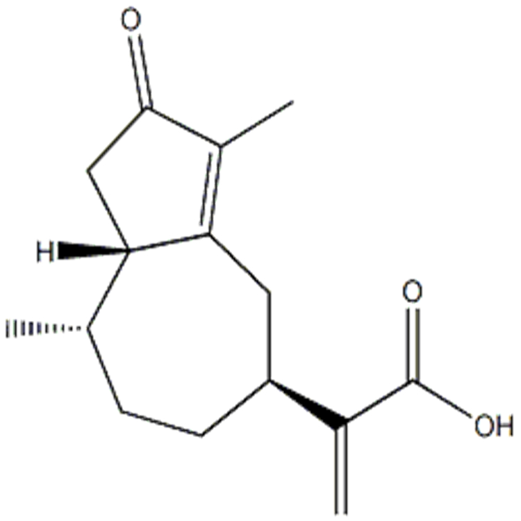 一枝蒿酮酸 CAS:115473-63-7 Rupestonic acid 中藥對照品 標準品