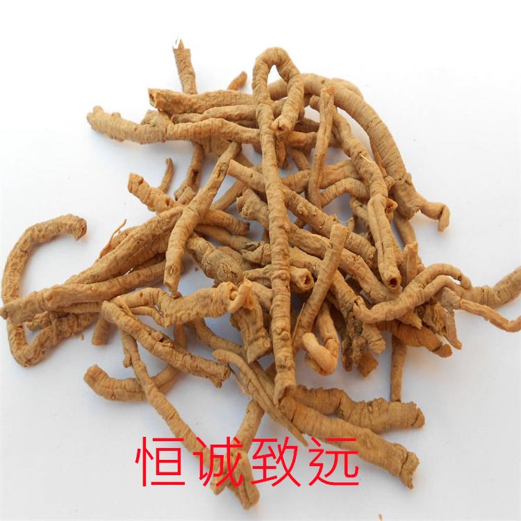 七葉皂苷 IB  自制對(duì)照品 中檢院 純度高 科研專用