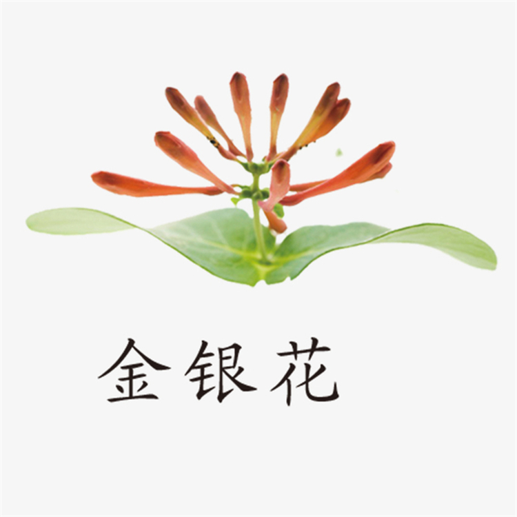 五倍子醛13677-79-7對(duì)照品廠家 標(biāo)準(zhǔn)品 科研專用