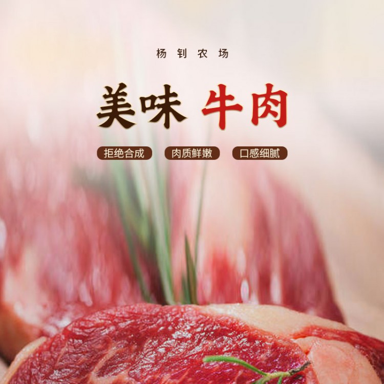 楊釗農(nóng)場(chǎng)-牛肉_01