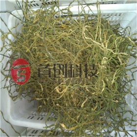 豇豆豆角烘干設(shè)備不銹鋼脫水蔬菜帶式干燥機(jī)大型烘干機(jī)