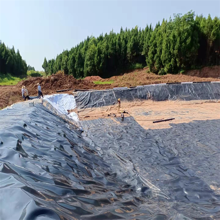 沼氣池 沼氣袋 大型沼氣池 沼氣池黑膜 軟體沼氣池 沼氣池黑膜防滲膜