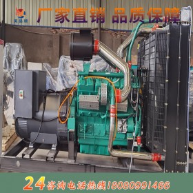 上海柴油發(fā)電機組200KW上海乾能 戶外運動式發(fā)電機組 靜音發(fā)電機組備用發(fā)電設備 廠家直供