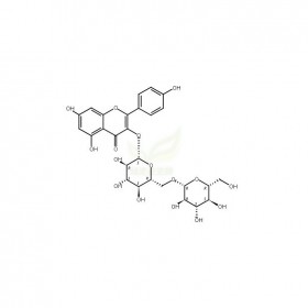 山柰酚-3-O-龍膽二糖苷維克奇生物實(shí)驗(yàn)室中藥對照品