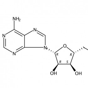 煙酰胺腺嘌呤二核苷酸維克奇生物實驗室自制優(yōu)質(zhì)中藥對照品