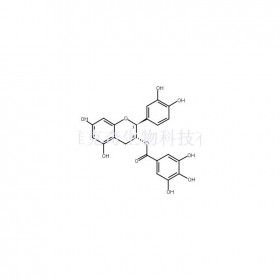 兒茶素沒食子酸酯CG維克奇生物實驗室中藥對照品