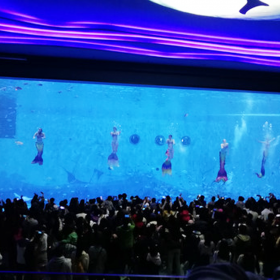 戲浪海洋館施工 水族館設(shè)計(jì) 亞克力大魚(yú)缸造景設(shè)計(jì)制作