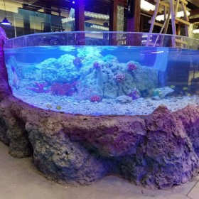 戲浪亞克力魚缸定做 海洋館設(shè)計施工 大型水族觀賞魚缸定制