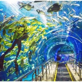 四川戲浪海洋館方案設(shè)計 水族館設(shè)計施工 海洋館工程建造