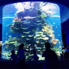 戲浪海洋館工程施工 重慶海洋館設(shè)計(jì) 四川大型亞克力魚缸定做 廠家定制