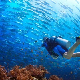 大魚(yú)缸定做 別墅大水族箱定制 海洋館設(shè)計(jì) 戲浪海景