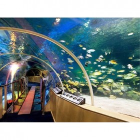 大型異形亞克力魚缸定做廠 海洋館設(shè)計 水族館改建 觀賞亞克力水族箱定制 批發(fā)