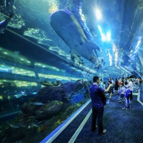 戲浪海洋館設(shè)計(jì) 水族館建造 海洋透明隧道安裝拼接 海洋餐廳設(shè)計(jì)施工 大魚缸定做