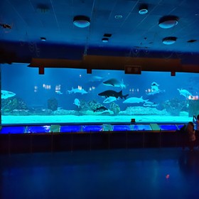 云南海洋世界設(shè)計與建造 水族館工程修建 大魚缸定做廠