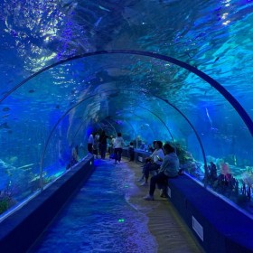 海洋館設計施工 承接大型海洋餐廳亞克力魚缸設計 海底隧道安裝